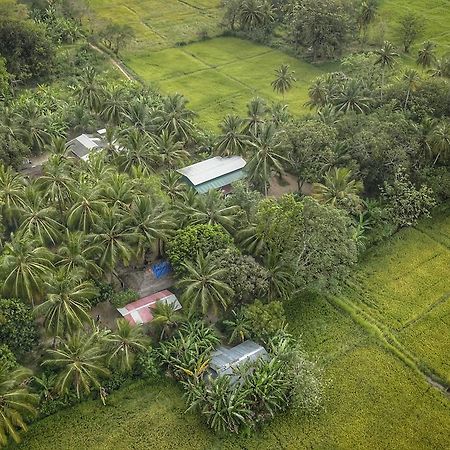 לינה וארוחת בוקר אנוראדפורה Coconut Park מראה חיצוני תמונה