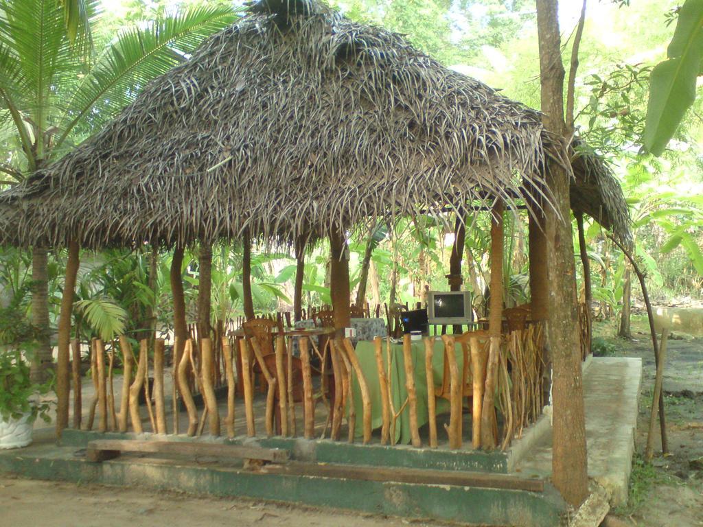לינה וארוחת בוקר אנוראדפורה Coconut Park מראה חיצוני תמונה
