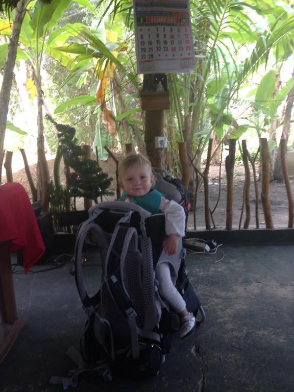 לינה וארוחת בוקר אנוראדפורה Coconut Park מראה חיצוני תמונה