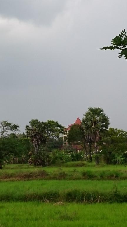 לינה וארוחת בוקר אנוראדפורה Coconut Park מראה חיצוני תמונה