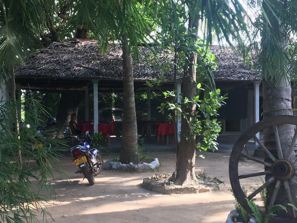 לינה וארוחת בוקר אנוראדפורה Coconut Park מראה חיצוני תמונה