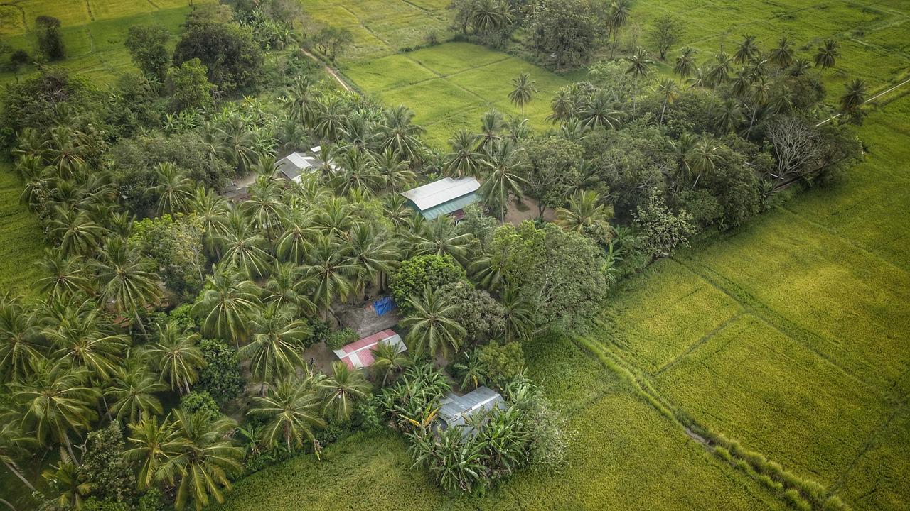 לינה וארוחת בוקר אנוראדפורה Coconut Park מראה חיצוני תמונה